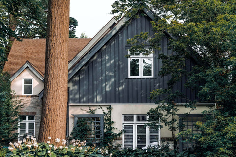 Fliegengitter online bestellen